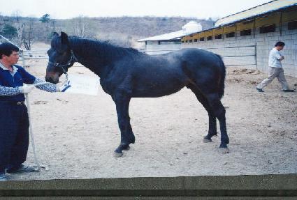 ������� ����