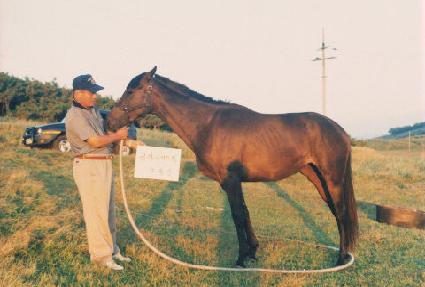 ���������� ����