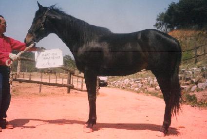 �ִ���� ����