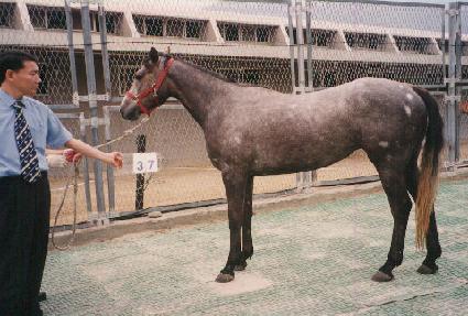 �Ű��� ����