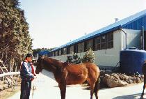 ���� (SHAMAL) ����