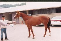 ����ο����ڸ� ����