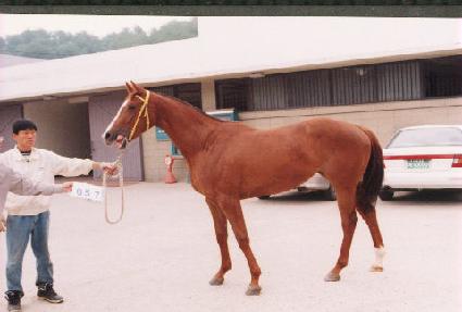 ����ο����ڸ� ����