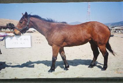 ���� ����