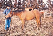 �ǽ� (GEONSEUNG) ����