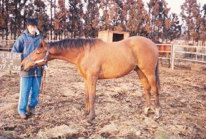 �ǽ� ����