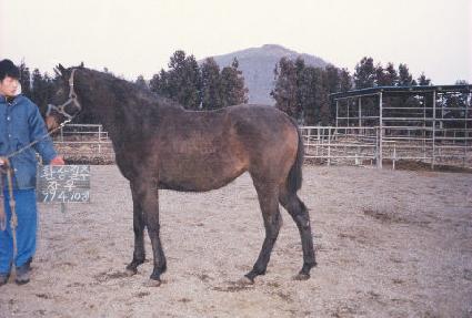 �Ÿ��� ����