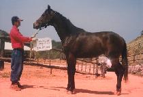 �����ִ� (JISANG CHOEDAE) ����