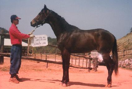 �����ִ� ����