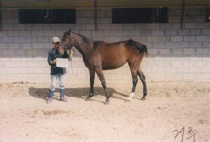 ��������� ����