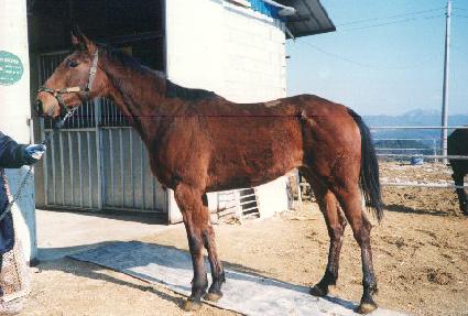 ��ȭõ�� ����