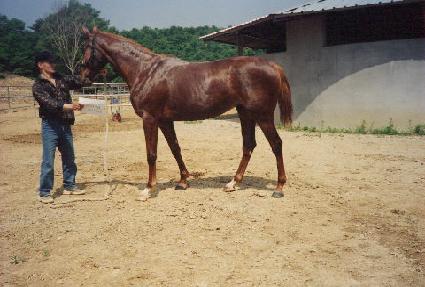 ������� ����