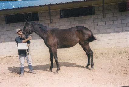 ��ȭ���� ����