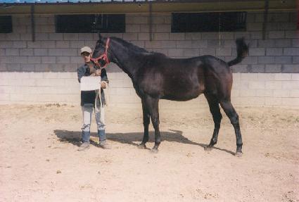 �����ϴ� ����