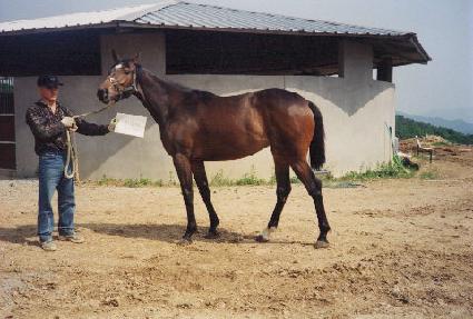 �����ǿ��� ����