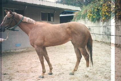 ����¡ ����