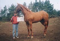 ���� (HANHYEOL) ����