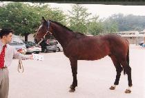 �⵵ (HYANGDO) ����