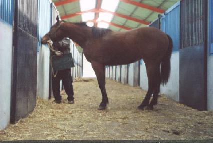 �����ҹ� ����