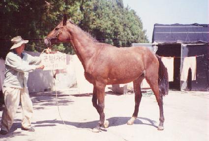 ������� ����