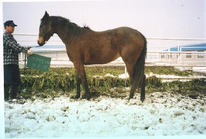 �����强 ����