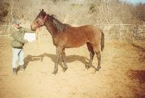 ������ (DAEPYEONGJEONG) ����