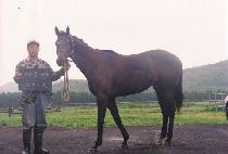 �ڿ����Ʈ (COMATE) ����