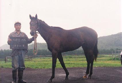 �ڿ����Ʈ ����