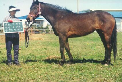 ����� ����