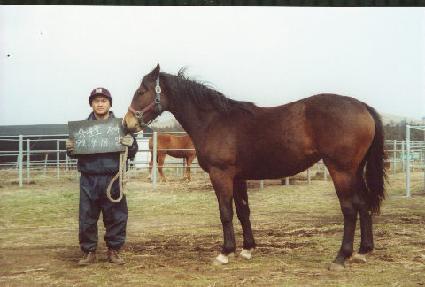 �Ŀ�����Ʈ ����