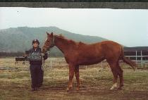 �߽ɼ��� (JUNGSIM SERYEUK) ����