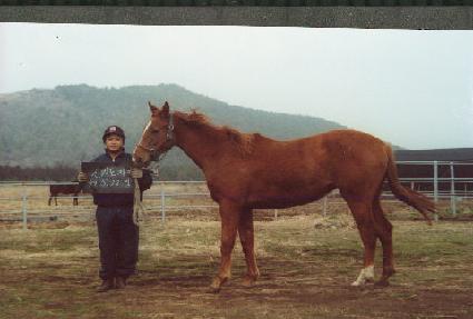 �߽ɼ��� ����