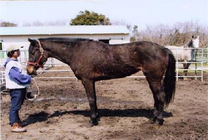 �Һ����� ����