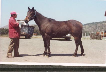 ��ġ ����