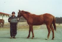 ���ϼ��� (MAHASURI) ����