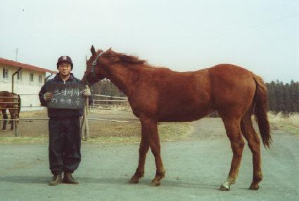 ���ϼ��� ����