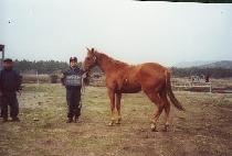 �ܵ� (DANDOL) ����