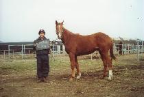 ū���� (KEUNMULGYEOL) ����