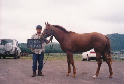 ���õ�� ����