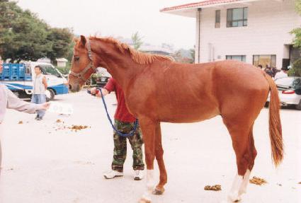 ���� ����