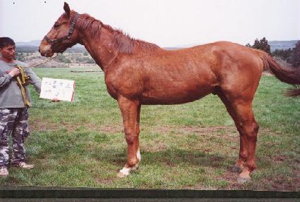 �ʿ�Ư�� ����