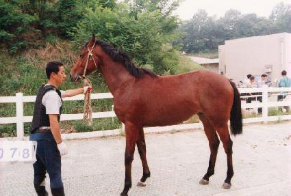 �Ͻ��� ����