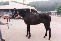 ������Ŭ (SPECTACLE) ����