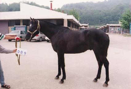 ������Ŭ ����