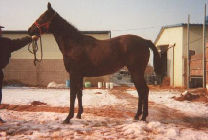 �뼳�� ����