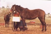 �ռ� (WANGSUN) ����