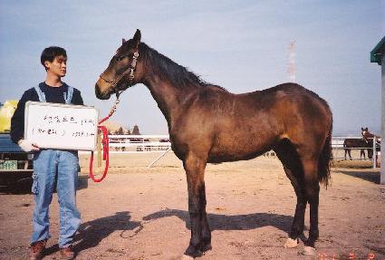 ���� ����