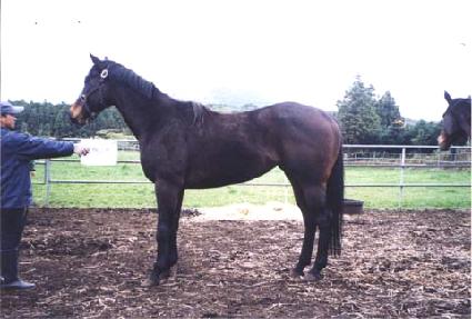 �������� ����