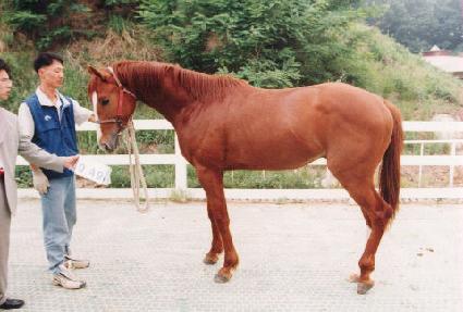 ���񸷰� ����