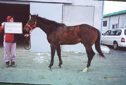 ŷ���丮�� ����